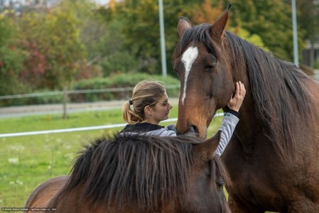 20251011-122255-0210.jpg (629 kB)