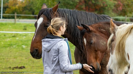 20251011-122349-0221.jpg (634 kB)