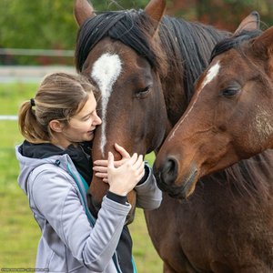 20251011-122357-0225.jpg (1338 kB)