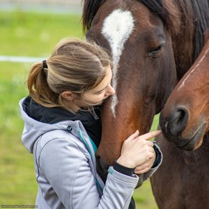 20251011-122400-0226.jpg (1088 kB)