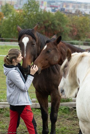 20251011-122403-0227.jpg (563 kB)