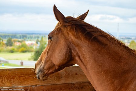 20251011-123258-0239.jpg (599 kB)