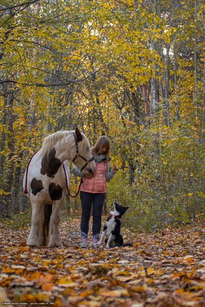 20251030-154038-0330.jpg (1481 kB)