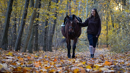 20251030-154616-0373.jpg (1164 kB)