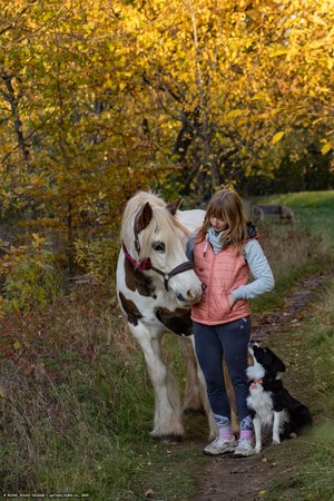 20251030-155943-0414.jpg (1032 kB)