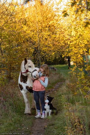 20251030-155947-0415.jpg (1209 kB)