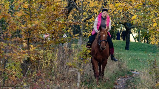 20251030-160257-0423.jpg (1204 kB)