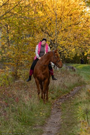 20251030-160339-0437.jpg (1117 kB)