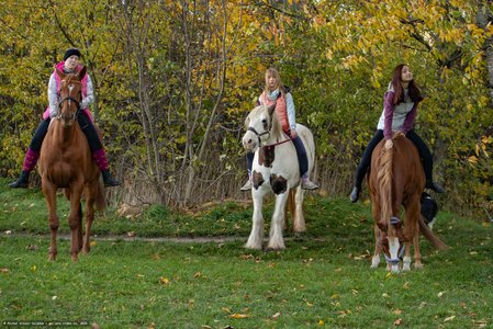 20251030-160807-0447.jpg (1333 kB)