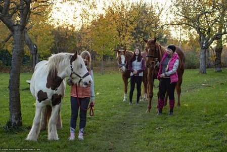 20251030-161104-0477.jpg (1053 kB)