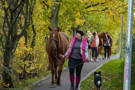 20251030-161154-0481.jpg (1177 kB)