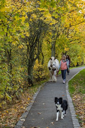 20251030-161210-0486.jpg (1564 kB)