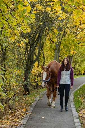 20251030-161229-0490.jpg (1463 kB)