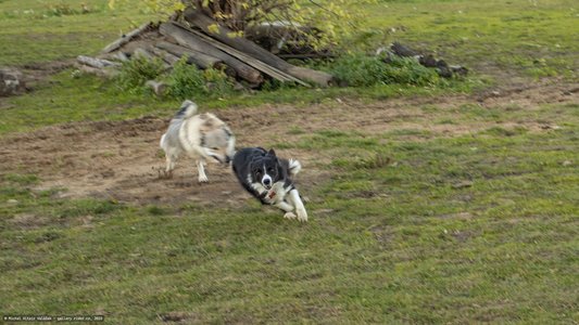 20251030-161914-0501.jpg (753 kB)