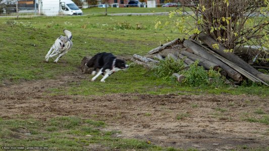 20251030-161926-0512.jpg (922 kB)