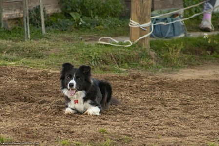 20251030-162137-0571.jpg (1274 kB)