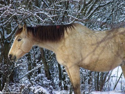 20260103-104556-0601.jpg (352 kB)