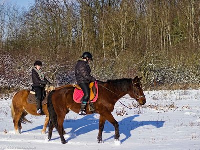 20260103-105820-0609.jpg (444 kB)