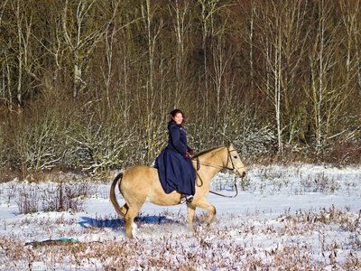 20260103-110001-0617.jpg (515 kB)