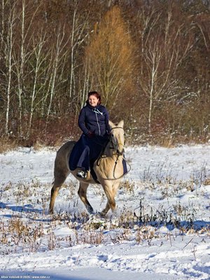 20260103-110006-0620.jpg (319 kB)