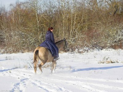 20260103-110117-0633.jpg (287 kB)