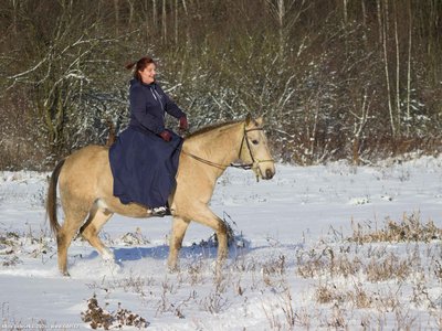 20260103-110123-0639.jpg (271 kB)