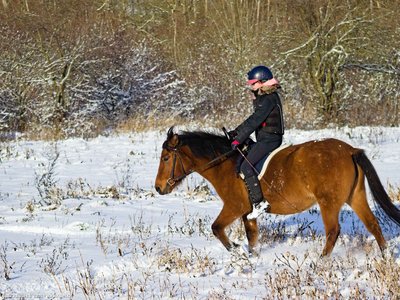 20260103-110348-0651.jpg (341 kB)