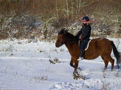 20260103-110350-0652.jpg (255 kB)