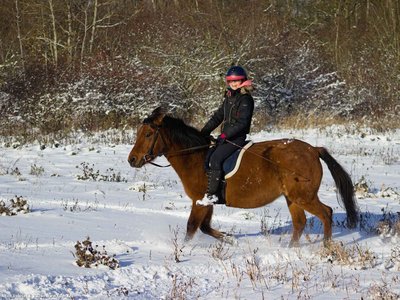 20260103-110406-0656.jpg (320 kB)