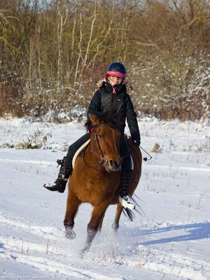 20260103-110409-0657.jpg (209 kB)