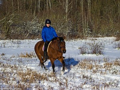 20260103-110515-0673.jpg (355 kB)