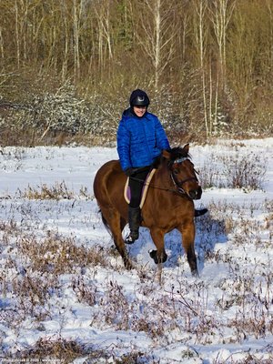 20260103-110534-0680.jpg (385 kB)