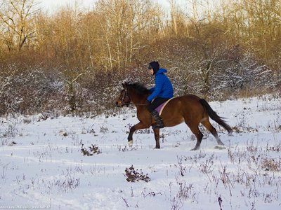 20260103-110545-0694.jpg (345 kB)