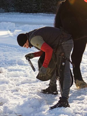 20260103-111522-0715.jpg (172 kB)