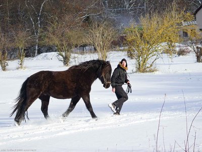 20260103-111953-0718.jpg (251 kB)