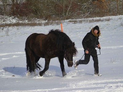 20260103-112015-0727.jpg (163 kB)