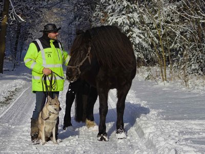 20260103-113422-0738.jpg (270 kB)