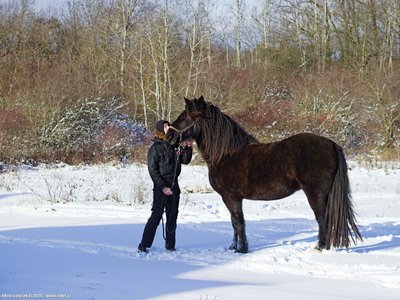 20260103-121525-0757.jpg (278 kB)