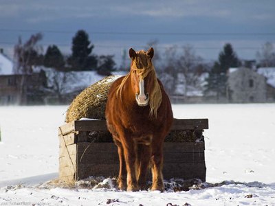 20260103-122253-0760.jpg (150 kB)