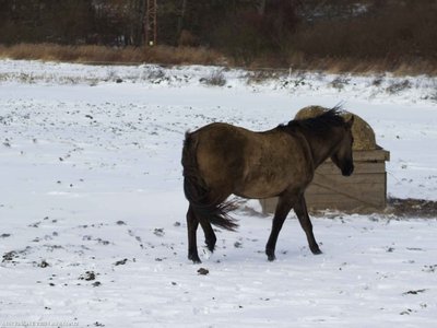 20260103-122502-0772.jpg (116 kB)