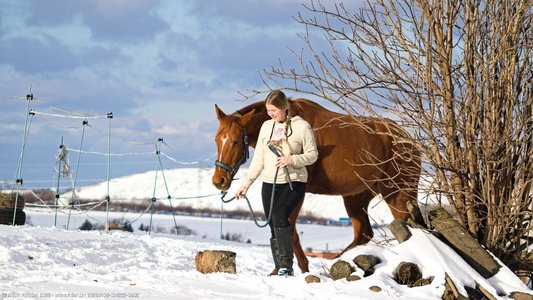 20260104-134222-0802.jpg (665 kB)