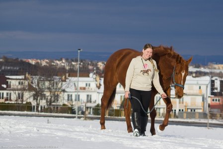 20260104-134259-0814.jpg (390 kB)