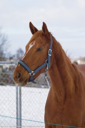 20260104-134410-0819.jpg (180 kB)