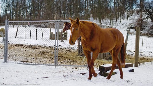 20260104-134703-0835.jpg (744 kB)