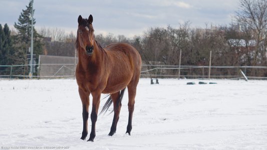 20260104-134714-0837.jpg (335 kB)