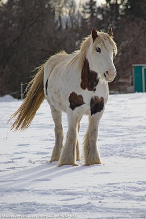 20260104-134734-0840.jpg (285 kB)