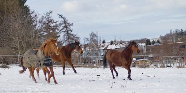 20260104-134804-0842.jpg (466 kB)