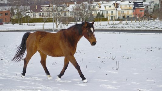 20260104-134813-0852.jpg (449 kB)