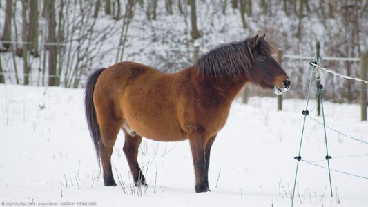 20260104-135032-0863.jpg (343 kB)