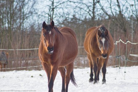 20260104-135059-0864.jpg (462 kB)